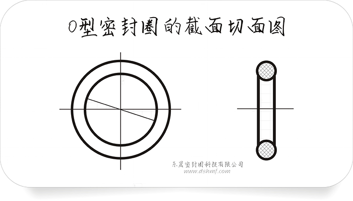 O型密封圈的截面切面图4.png